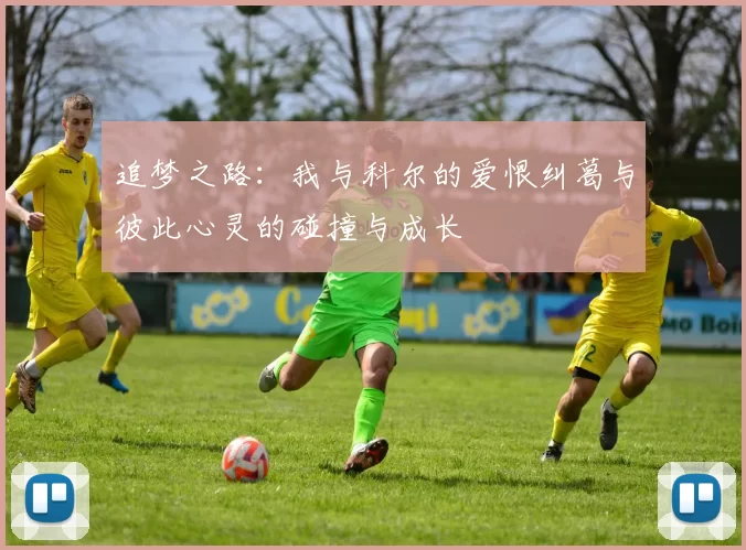 追梦之路：我与科尔的爱恨纠葛与彼此心灵的碰撞与成长